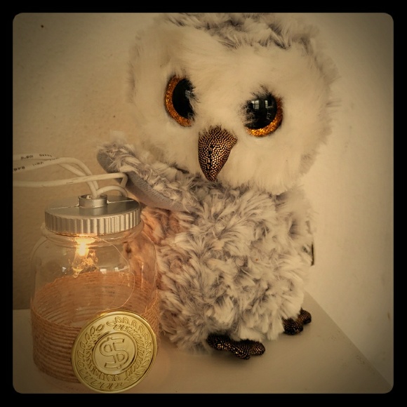 TY Owl - Picture 1 of 1